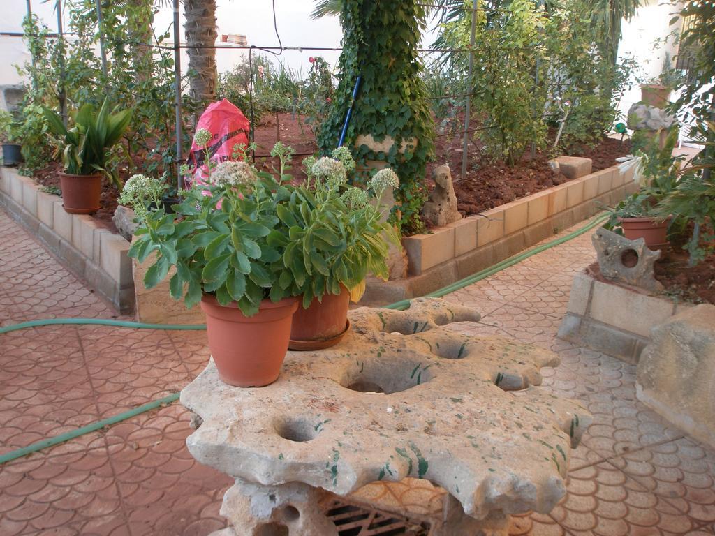 Hostal Los Rosales Alcaraz Rum bild